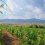 Exploring Drama, northern Greece’s best-kept secret – Lonely Planet