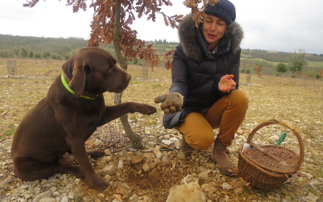 Diamond in the Rough – France Magazine