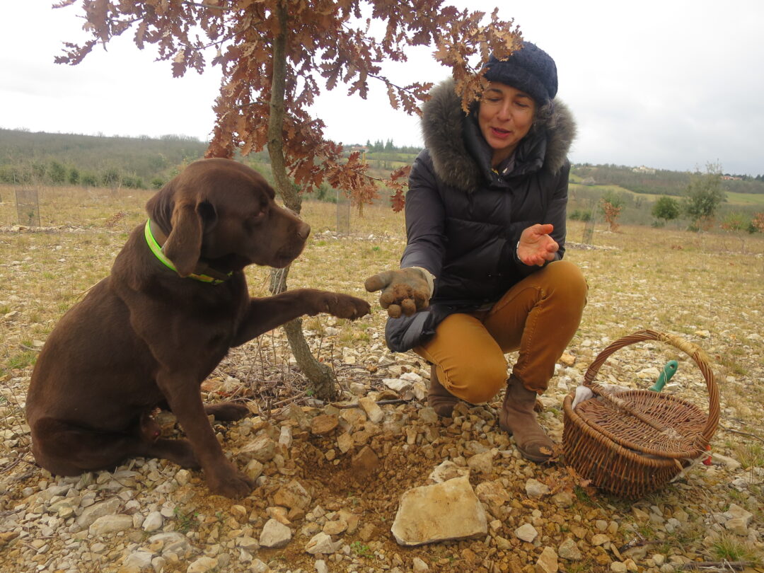 Truffle hunting in the Lot Valley, France